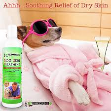Some of these are much closer to mass market, while others are further out (year 2020 or greater). Vet Recommended Dog Dry Skin Cream Moisturizer Helps Dog Hair Loss Regrowth Dry Nose Cracked Paws Works With Hot Spots For Dogs 240ml 8 Oz Pricepulse