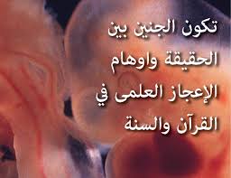 تكوين الجنين بين الحقيقة وأوهام الإعجاز العلمي في القرأن والسنة
