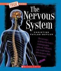 The neural plate folds along its central axis to form a neural groove lined on each side by a neural fold. The Nervous System A True Book Health And The Human Body Taylor Butler Christine 9780531207352 Amazon Com Books