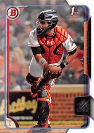 Baseball in Sarasota, Florida