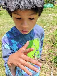 On a Quest for Planet's Most Important Species