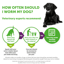 Since this product is poorly absorbed into the. Drontal Tasty Bone Wormer Tablets For Dogs The Pharmpet Co