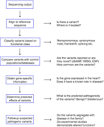 Flow Chart Showing Steps For Dna Sequence Analysis Esp