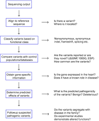 flow chart showing steps for dna sequence analysis esp