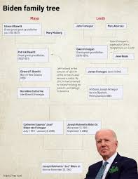 Image result for Bidens elliotii