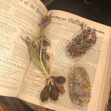 映え写 撮影の新定番 空間にこだわった8つの撮り方で可愛さ100倍 したいが見つかる 流行先取りメディア petrel ペトレル 可愛い背景 キッチンポスター フォトモンタージュ