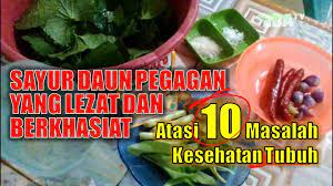 Sayur Daun Pegagan Sayuran Makanan Masakan