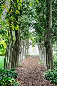 Yew Dell Botanical Garden Visit | Thinking Outside the Boxwood