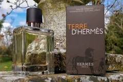 Terre d'Hermès Cologne Review: A Pure & Intense Fragrance For ...