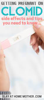 How To Take Clomid While Trying To Get Pregnant Clomid How To Conceive Twins Getting Pregnant