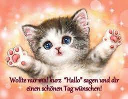Die fotos sind nicht nur kostenlos sondern häufig sind auch schon ein paar guten morgen sprüche darauf hinterlegt, die man bei bedarf. Schonen Tag Spruche Fur Whatsapp Bilder Und Spruche Fur Whatsapp Und Facebook Kostenlos
