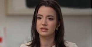 Massive Hidden Stellar Stream Found Around Messier 61 by the Vera Rubin  Observatory