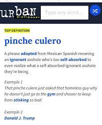 Contact pinche culero on messenger. Jaremi On Twitter Any Hispanic Person Who Supports Realdonaldtrump Son Pinche Pendejos Donaldtrump Pinche Gringo Culero