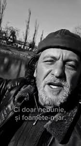 "Balada lui Noe", de Diana Elena Muja