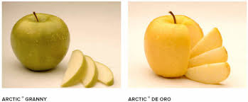 Check spelling or type a new query. Food News Latam Arctic Golden La Manzana Mejorada Que No Se Oxida