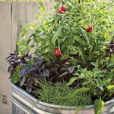 With both beauty and functionality, flowers are a must have in any vegetable garden. Backyard Ideas 53 Diy Design Projects To Improve Your Space Sunset Container Gardening Vegetables Veggie Garden Vegetable Garden Design