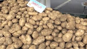 Elle fut introduite en france dès le la france occupe le 3ème rang européen dans la production de pommes de terre. La Pomme De Terre En Fete A La Plaine Des Cafres Linfo Re