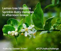 Maybe you would like to learn more about one of these? Pcpl Haiku Challenge Your Poems About Springtime Pima County Public Library