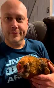 Just found out Arnold has a pony and a donkey in his house!