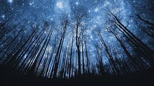 24 High Resolution Anime Night Sky Wallpaper