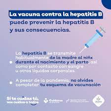 La Vacuna Contra La Hepatitis B Es El Principal Pilar De La Prevencion De Esta Enfermedad Aun Durante El Secretaria De Igualdad Sustantiva Entre Mujeres Y Hombres Facebook