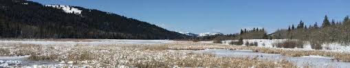 Beauvais lake provincial park is a provincial park located west pincher creek, alberta, canada. Beauvais Lake Provincial Park Pincher Creek 2021 All You Need To Know Before You Go With Photos Tripadvisor