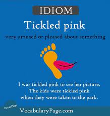 Idioms About Happiness 5 Tickled Pink English Idioms English Vocabulary Words English Transition Words