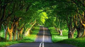 Maybe you would like to learn more about one of these? Best Background Images Hd For Desktop