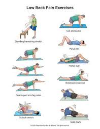 Pin On L5s1 Lower Back Exercises