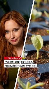 Jongerius in Houten heeft aangekondigd te stoppen met alle werkzaamheden.  Sindsdien hebben de medewerkers geen idee wat er gaat gebeuren. “We weten  niet of we nog doorbetaald krijgen. Ik hoop het wel, ...