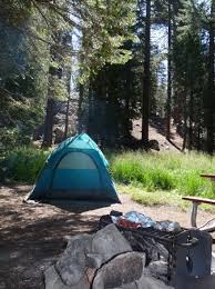 Check spelling or type a new query. Azalea Campground Sequoia And Kings Canyon National Park Californie Foto S En Reviews Tripadvisor
