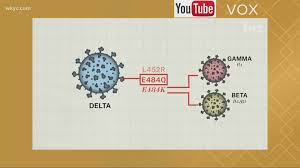 Researchers are still working to determine whether the delta variant causes more severe disease, but there's. Delta Covid Variant Everything You Need To Know Khou Com