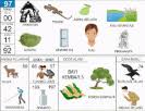 Pin Di Buku Mimpi 2d
