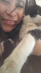 Meu gato Frajola sumiu ontem fugiu e não voltou até agora e ele não é de  posar fora estamos todos arrasados😭😭😭😭😭😭😭😭