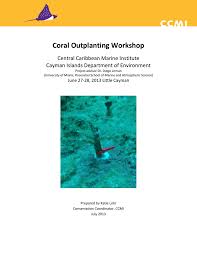 Little cayman is truly little. Workshop Report Central Caribbean Marine Institute