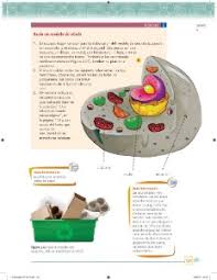 ¡paco te ayuda con tu tarea! La Celula Unidad Funcional De Los Seres Vivos Ayuda Para Tu Tarea De Ciencias Y Tecnologia Biologia Sep Secundaria Primero Respuestas Y Explicaciones