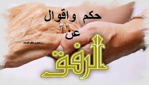 حكم عن الرفق حكم وعبارات واقوال عن الرفق مكتوبة على الصور موقع مفيد لك