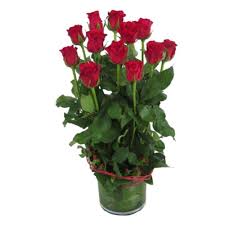 We did not find results for: Flower Delivery To Zambia Same Day Flower Delivery To Zambia Zambia Florist