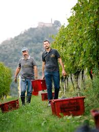 Image result for Rosso Barolo 2010 Brera