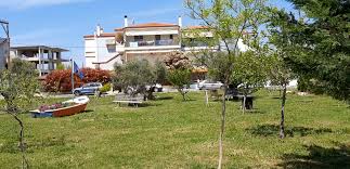 Μουδανια νεα χαλκιδικη 8 αυγούστου, 2021. Parko Elaiwna Sta Nea Moydania Xalkidikhs Binteo