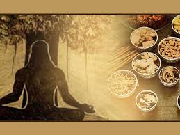 Image result for National Ayurveda Day
