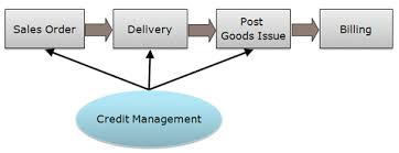 configure and customize sap automatic credit management