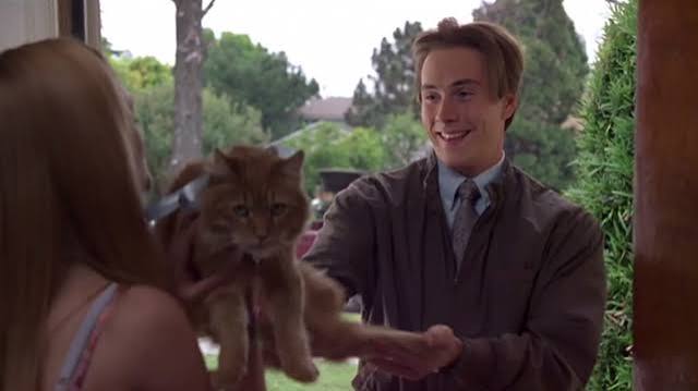 Say It Isn't So (2001) - Cinema Cats