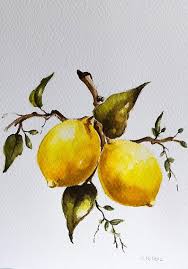 Orange tree flowers on a branch. Original Watercolor Painting Citrus Fruit Lemon Tree Etsy Watercolor Paintings For Beginners Watercolor Art Paintings Watercolor Paintin