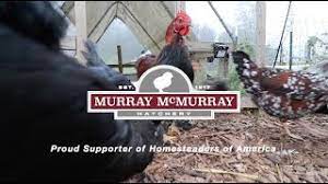 Start by marking murray mcmurray hatchery as want to read Mcmurray Hatchery Introduction Youtube