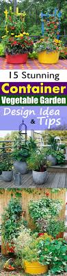 15 Stunning Container Vegetable Garden Design Ideas Tips Container Gardening Vegetables Indoor Vegetable Gardening Vegetable Garden Design