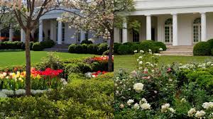 So what changes will they make? Before And After Photos Of Melania Trump S Rose Garden Renovation