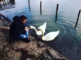 Польша хочет вернуть значимость программы ЕС "Восточное партнерство", - Ващиковский - Цензор.НЕТ 5165