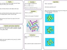Evolution questions for your custom printable tests and worksheets. Evolution Natural Selection And Speciation Revision Sheet Teaching Resources
