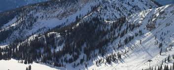 Breaking News Snowbird Has Cat Skiing Ski Utah